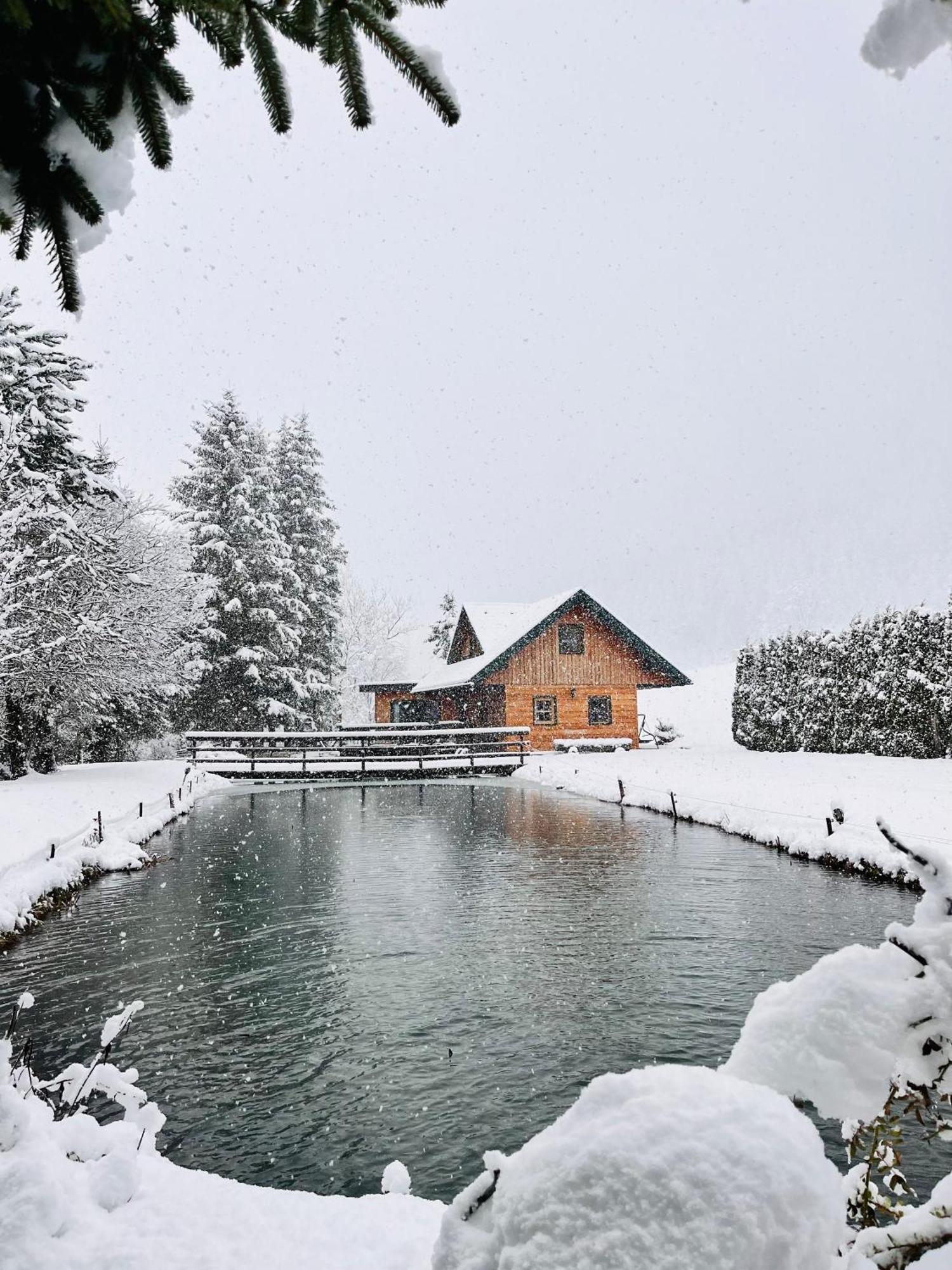 Chalet Am Teich Familie Gaenser Villa Feistritz am Kammersberg Exterior foto