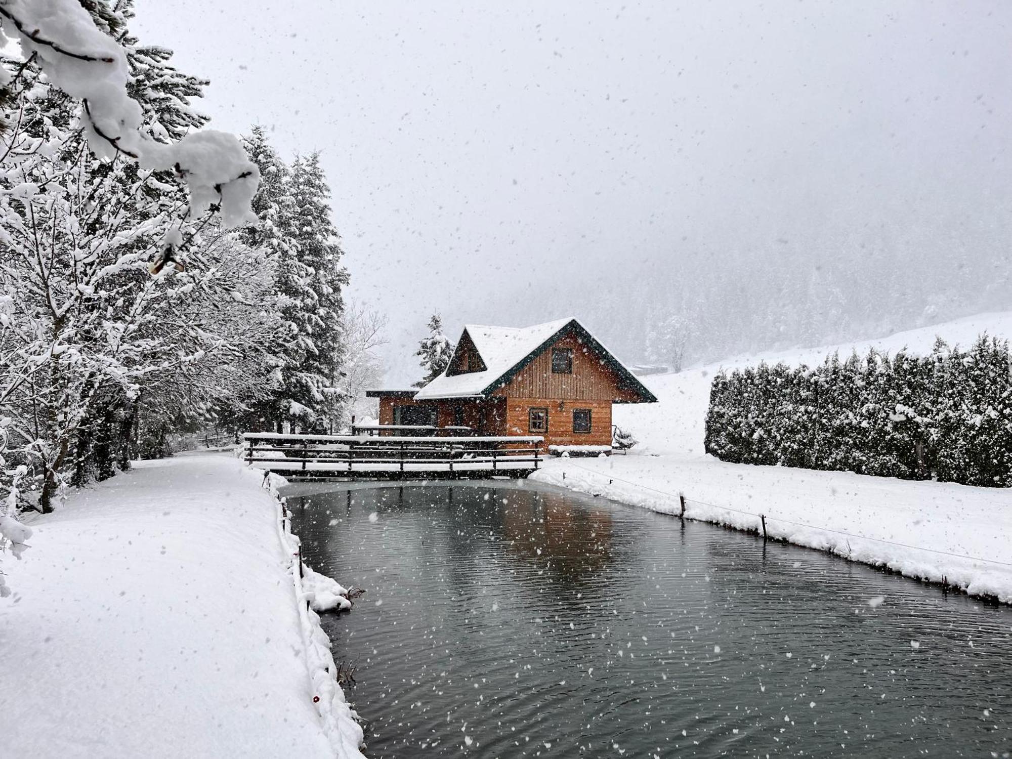 Chalet Am Teich Familie Gaenser Villa Feistritz am Kammersberg Exterior foto
